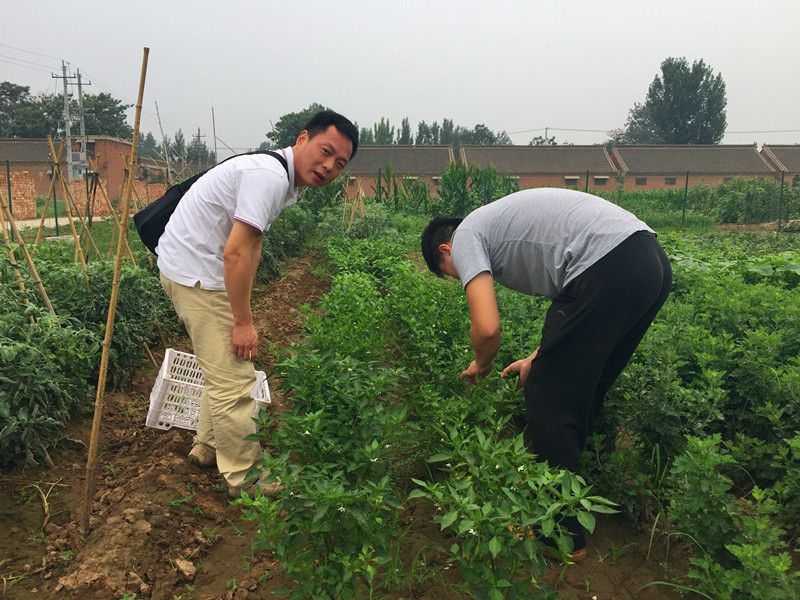 好利來郭總喊您來摘菜啦！綠色無公害，放心！