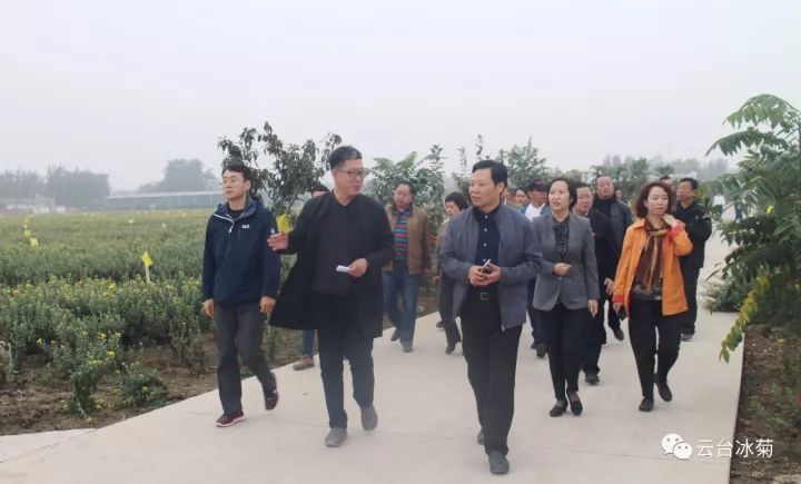 云臺冰菊基地發(fā)生了什么？一批批領導專家團隊前來！